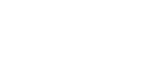 Icon MBS